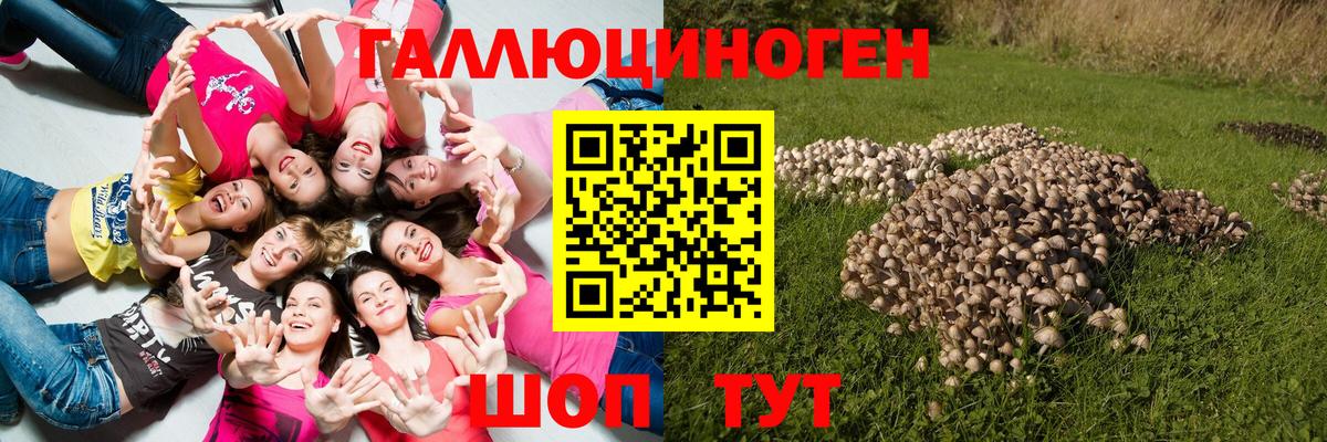 Псилоцибиновые грибы ЛСД  Вход с VPN  даркнет сайт  Галлюциногенные грибы мицелий  Благовещенск 